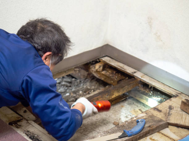 Flandreau, SD Mold Removal Company