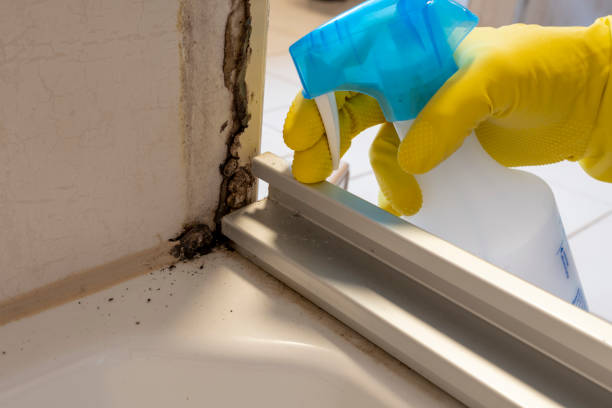 Best Mold Cleaning Services  in Flandreau, SD