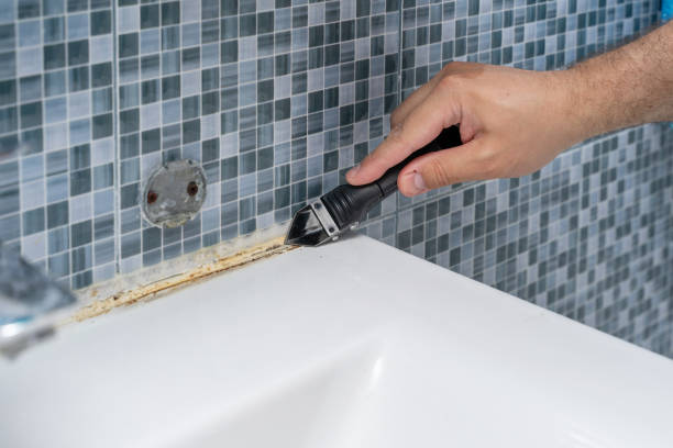 Best Fast Mold Removal  in Flandreau, SD