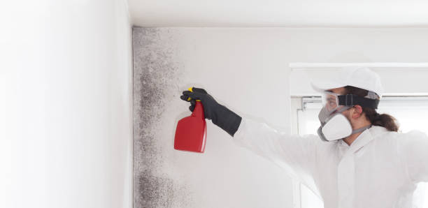 Best Mold Testing  in Flandreau, SD